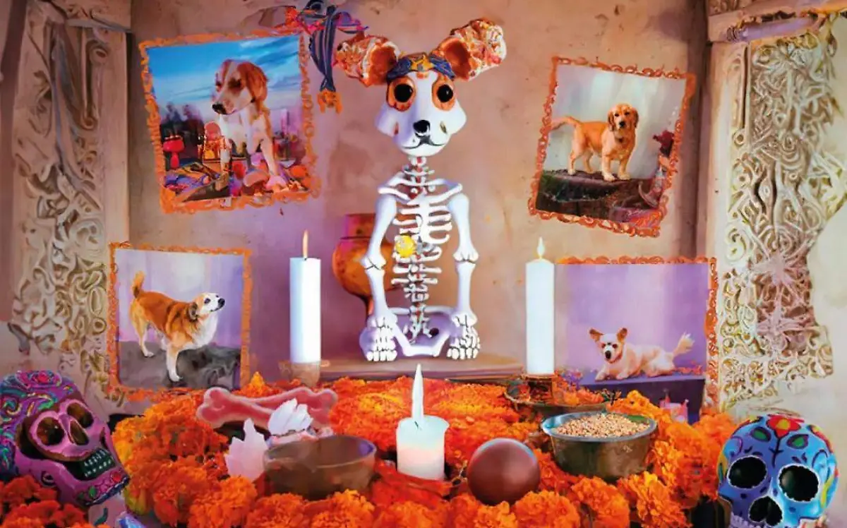 senasica altar de mascotas